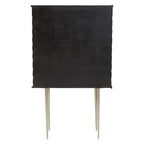 Sirsa Two Door Cabinet