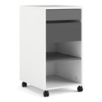 Function Plus Mobile File Cabinet 2 Drawers 1 Shelf