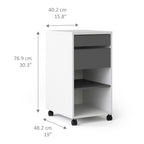 Function Plus Mobile File Cabinet 2 Drawers 1 Shelf