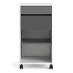 Function Plus Mobile File Cabinet 2 Drawers 1 Shelf