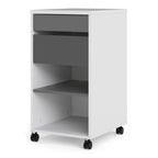 Function Plus Mobile File Cabinet 2 Drawers 1 Shelf