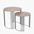 Atri S/2 Dark Oak Wood Veneer and Black Metal Side Tables
