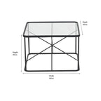Roxy Glass and Black Metal Coffee Table