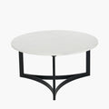 Hendrick White Marble and Black Metal Coffee Table