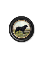 c.1881 Working Dogs - Round Frame