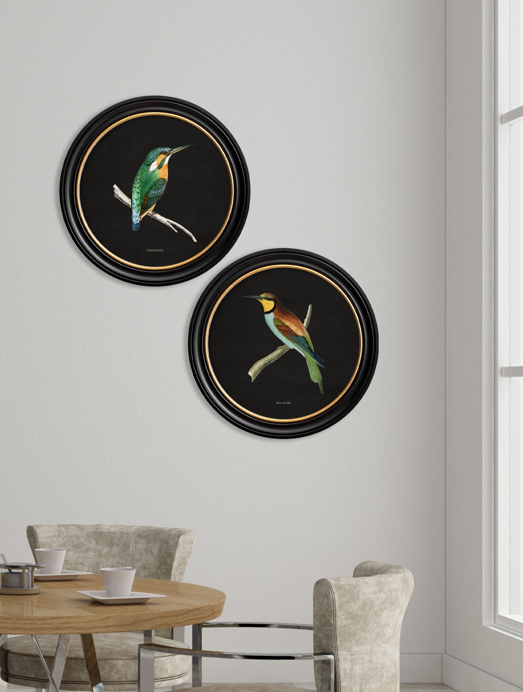 c.1870 Kingfisher and Bee Eater - Black