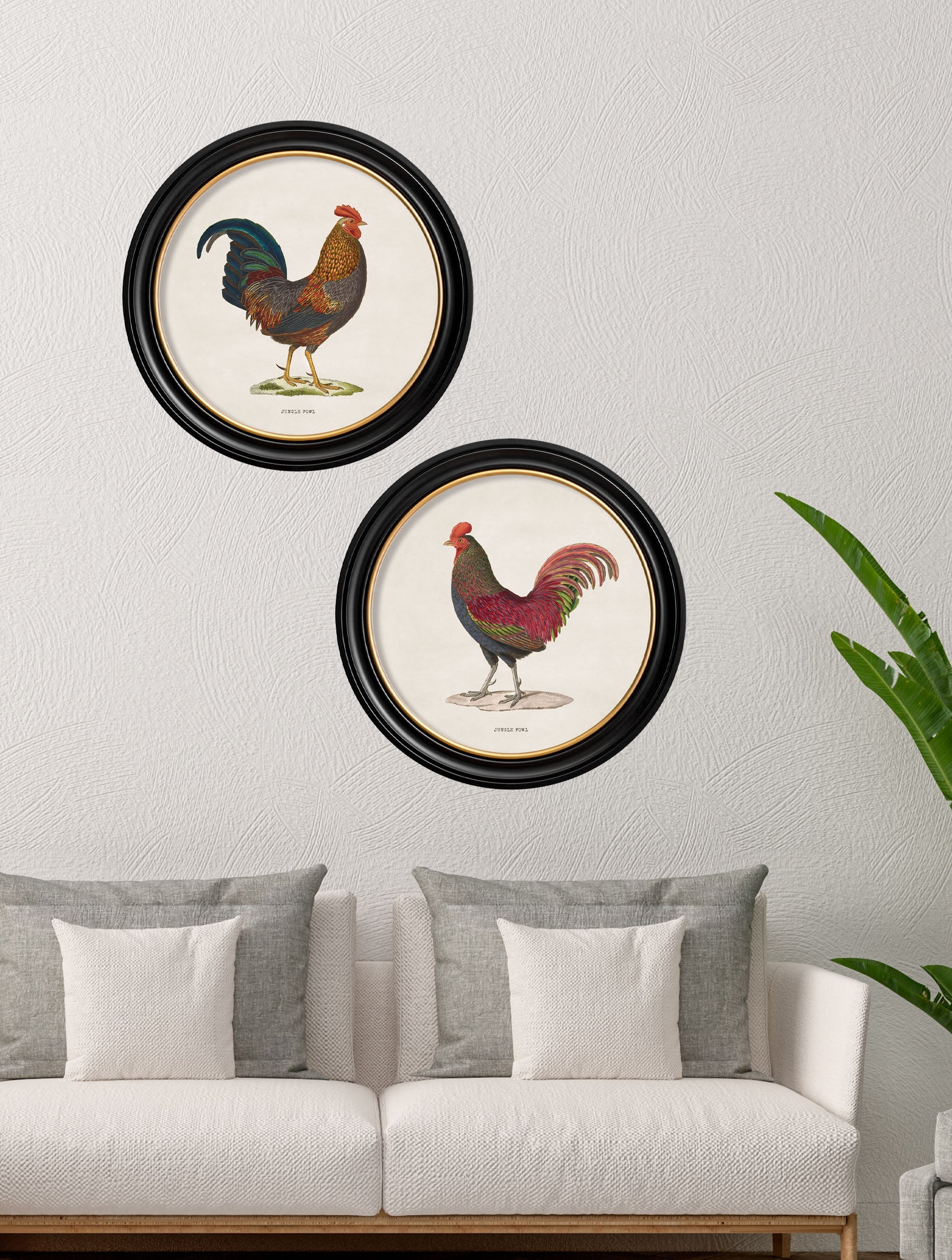 c.1838 Junglefowl in Round Frames