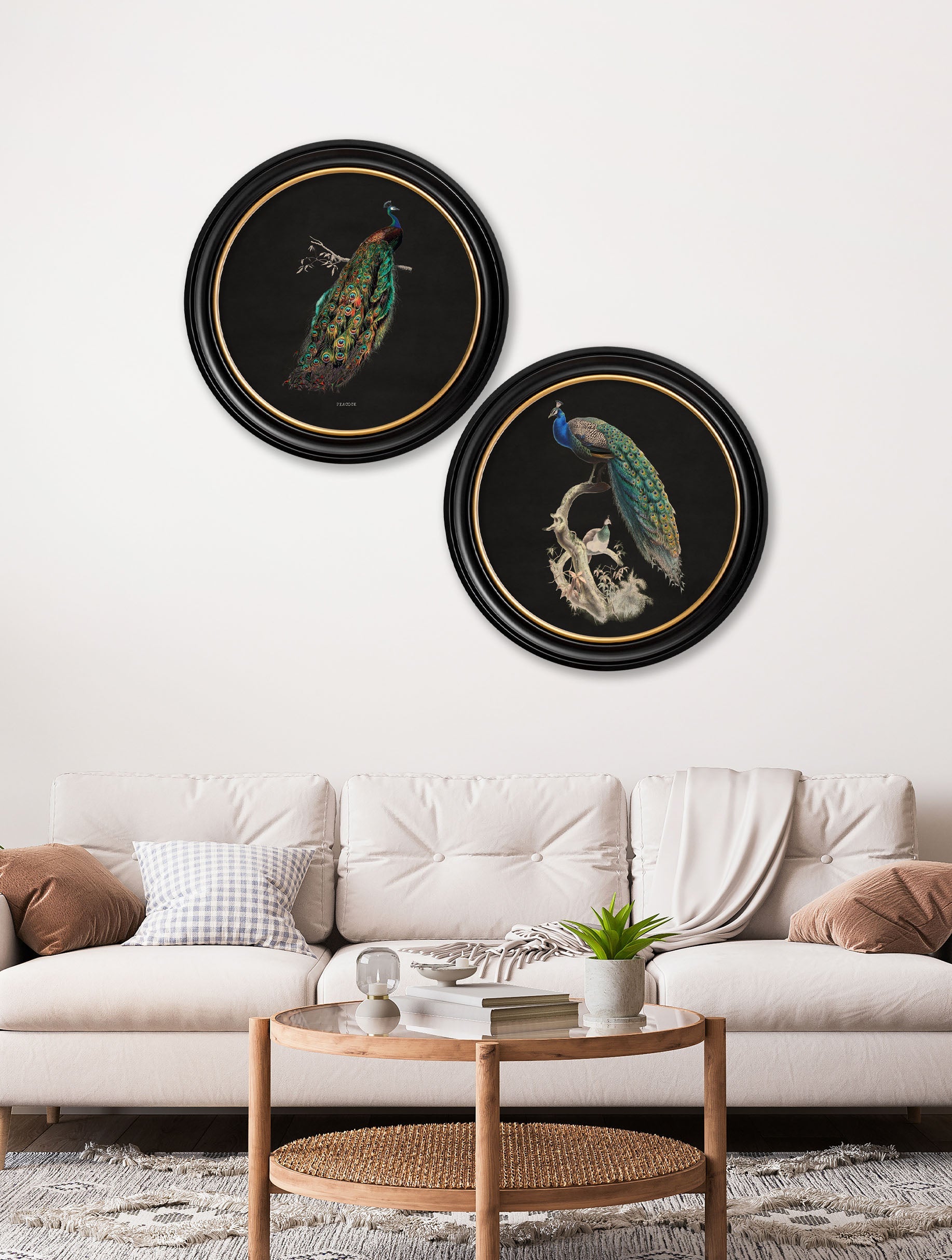 c.1847 Peacocks in Round Frames - Dark
