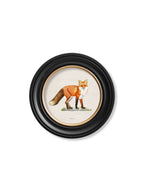 Red Fox - Round Frame
