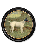 c.1881 Terriers - Round Frame