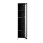 FRANK BLACK CABINET