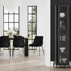 FRANK BLACK CABINET