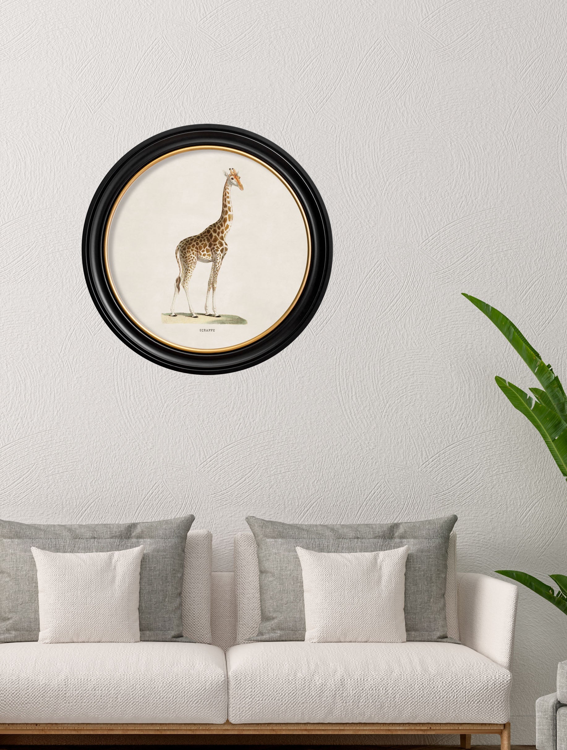 c.1836 Giraffe - Round Frame