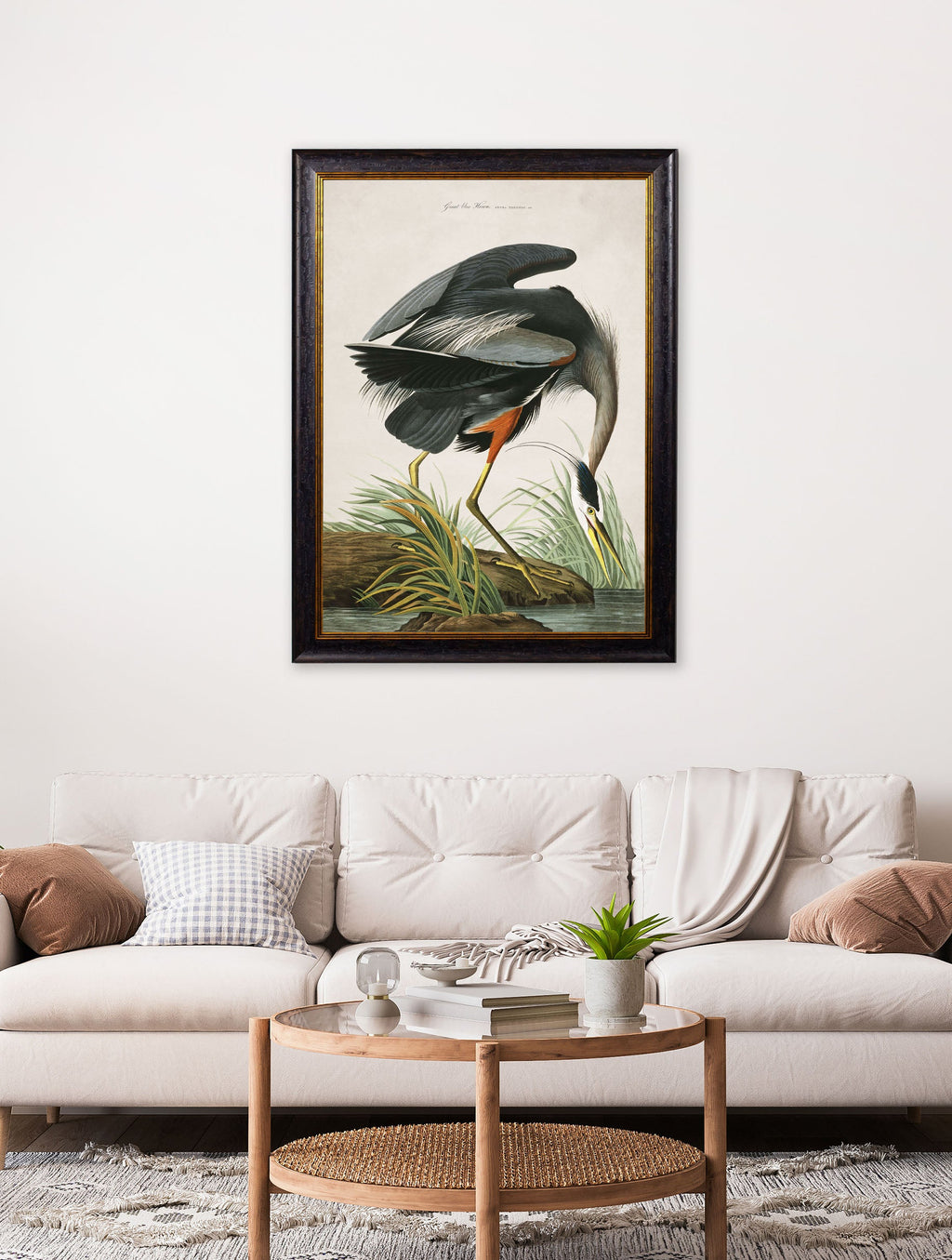 c.1838 Audubon's Great Blue Heron