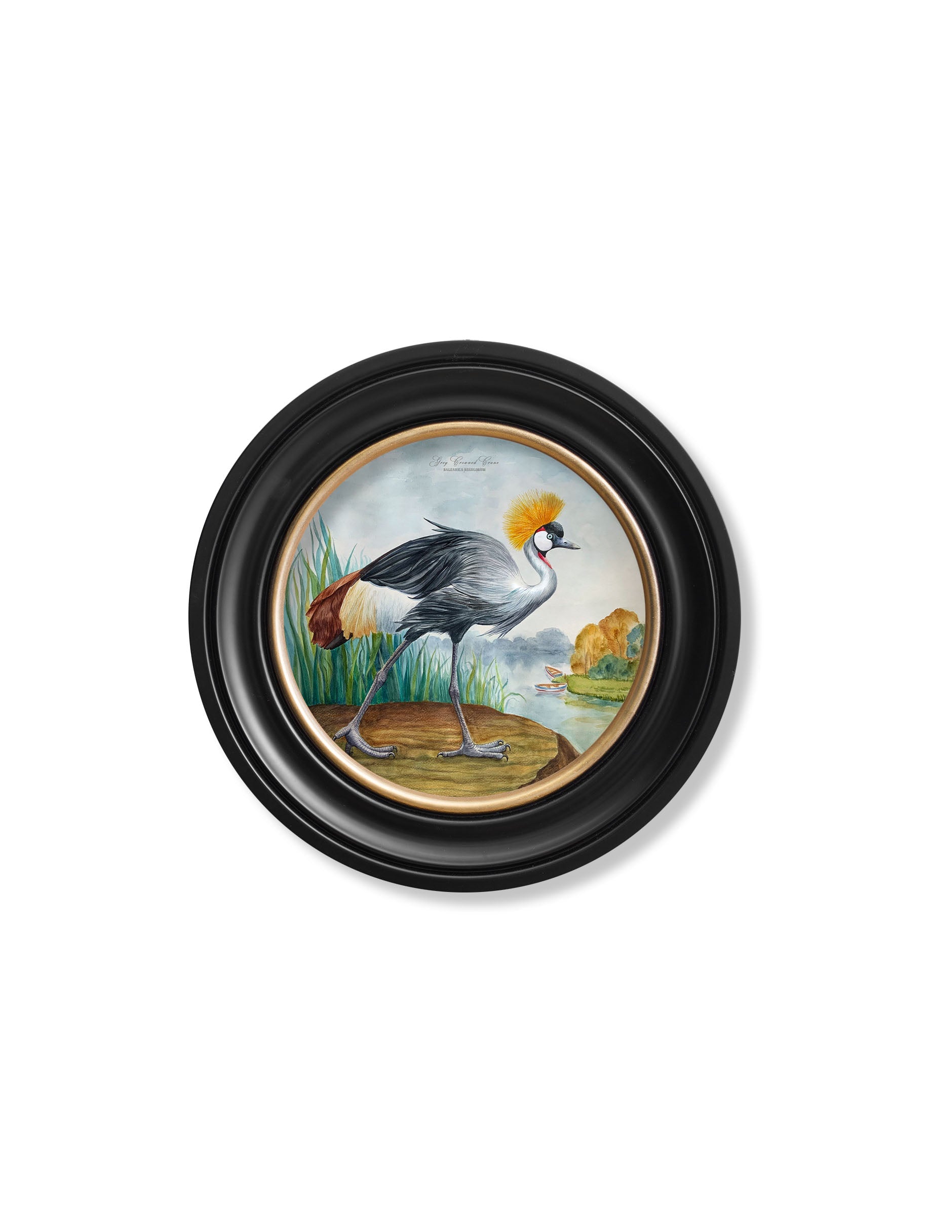 Audubon Style Cranes in Round Frames