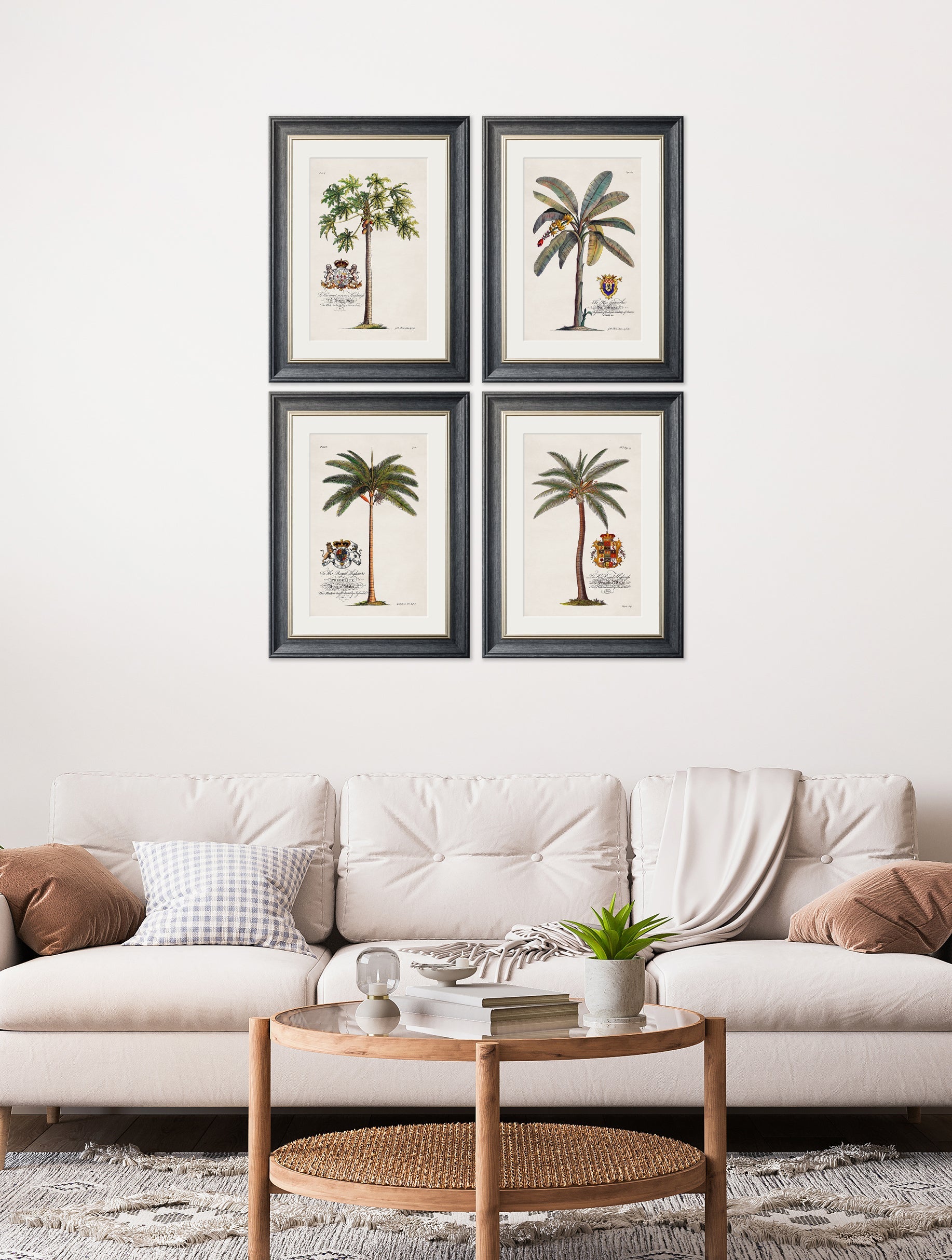 Studies of Palms