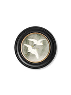 c.1910 Little Egrets - Ohara Koson in Round Frames