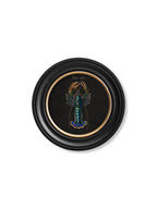 C.1876 Marine Animals in Round Frames - Black