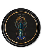 C.1876 Marine Animals in Round Frames - Black