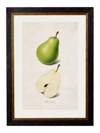 c.1886 Studies of Fruit