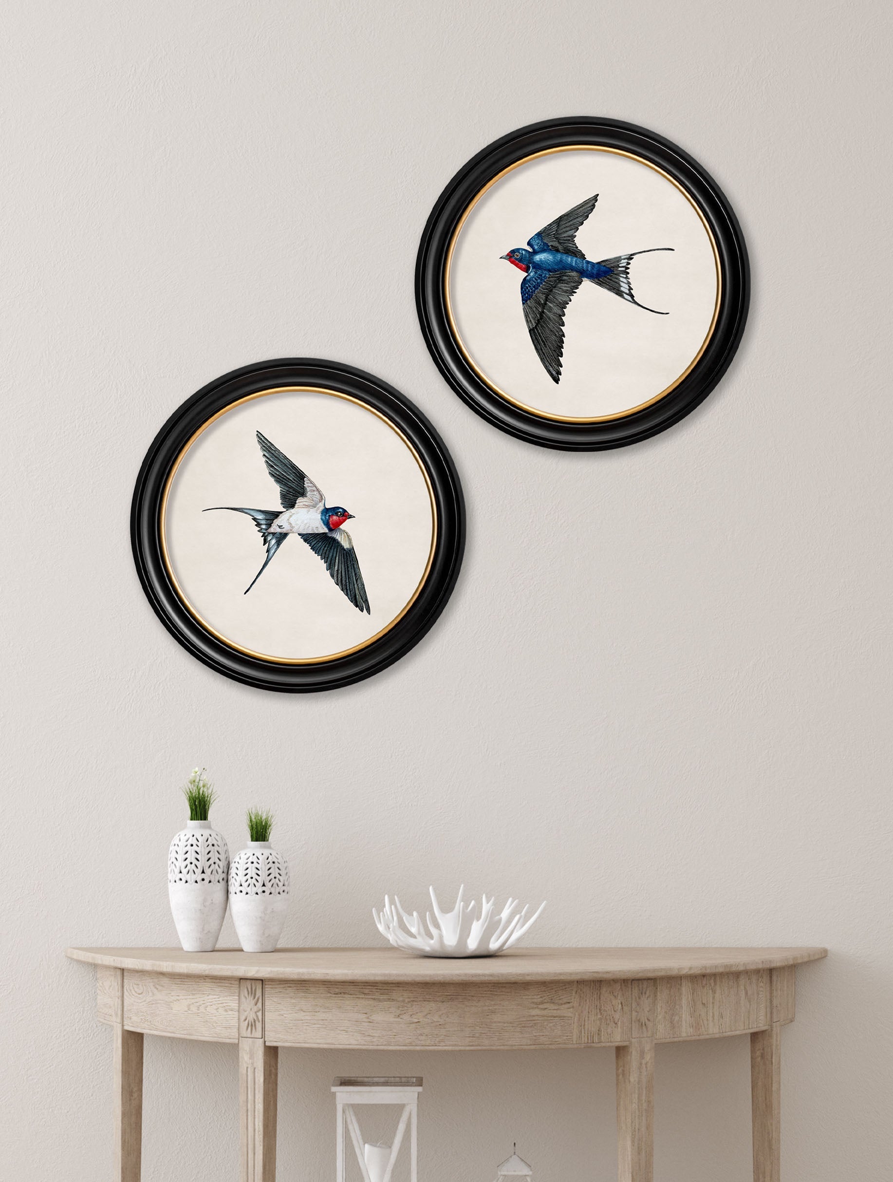 c.1875 Swallows in Round Frames