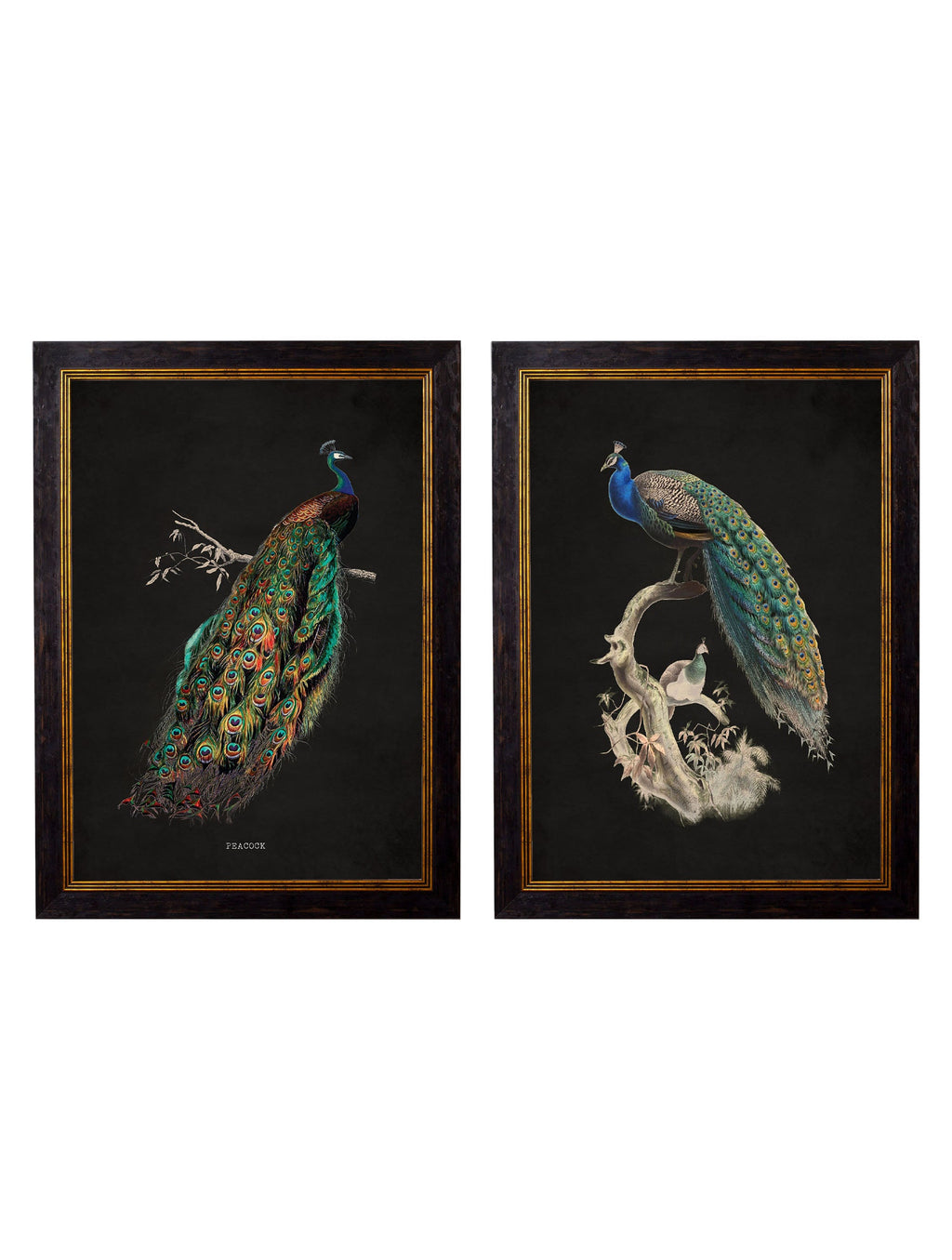 c.1847 Peacocks - Dark
