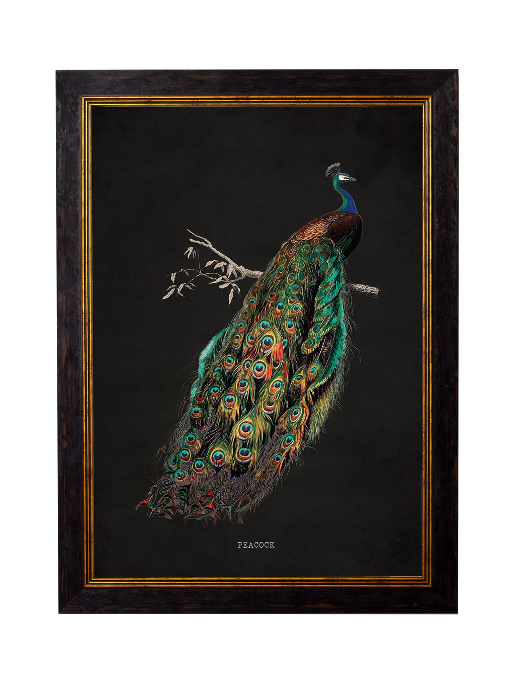c.1847 Peacocks - Dark