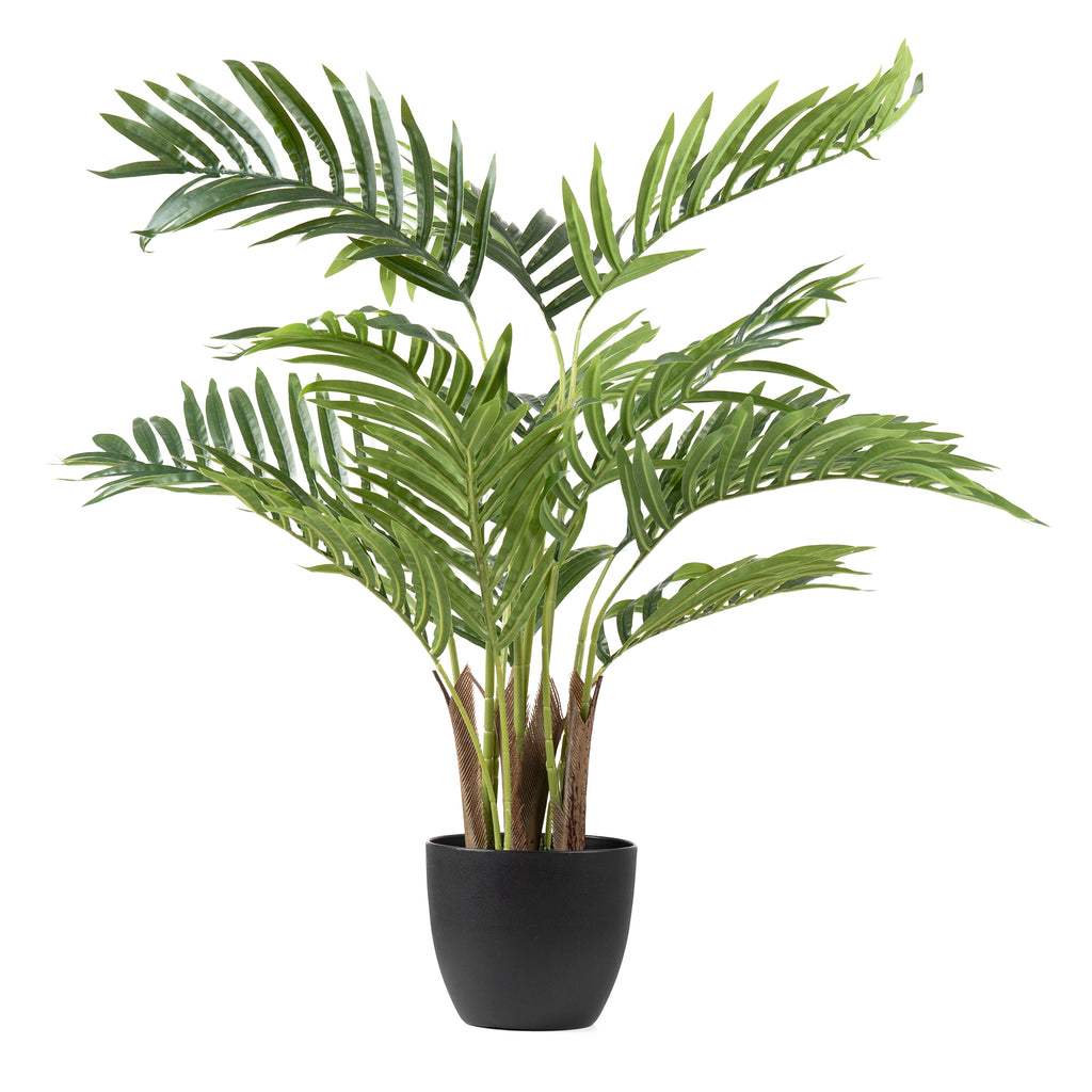 70Cm Real Touch Areca Palm