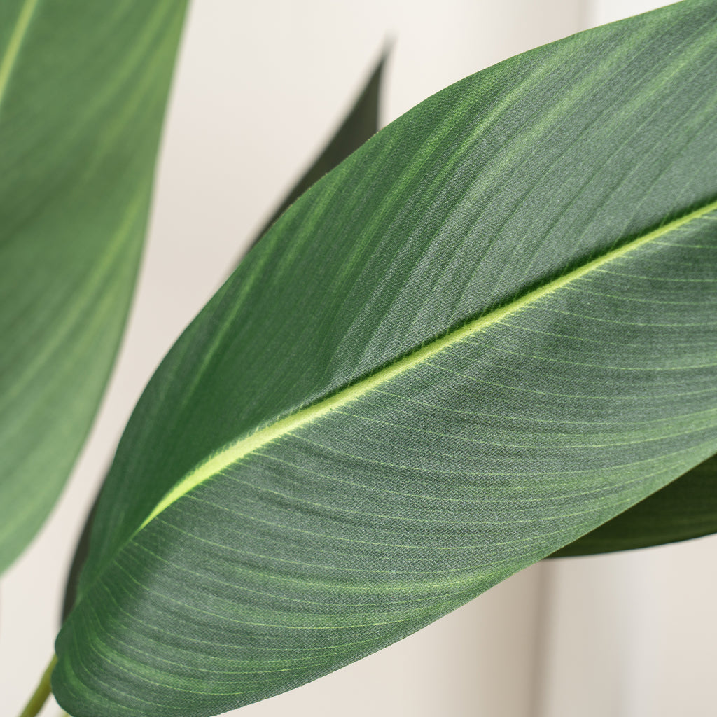 160Cm Bird Of Paradise Tree