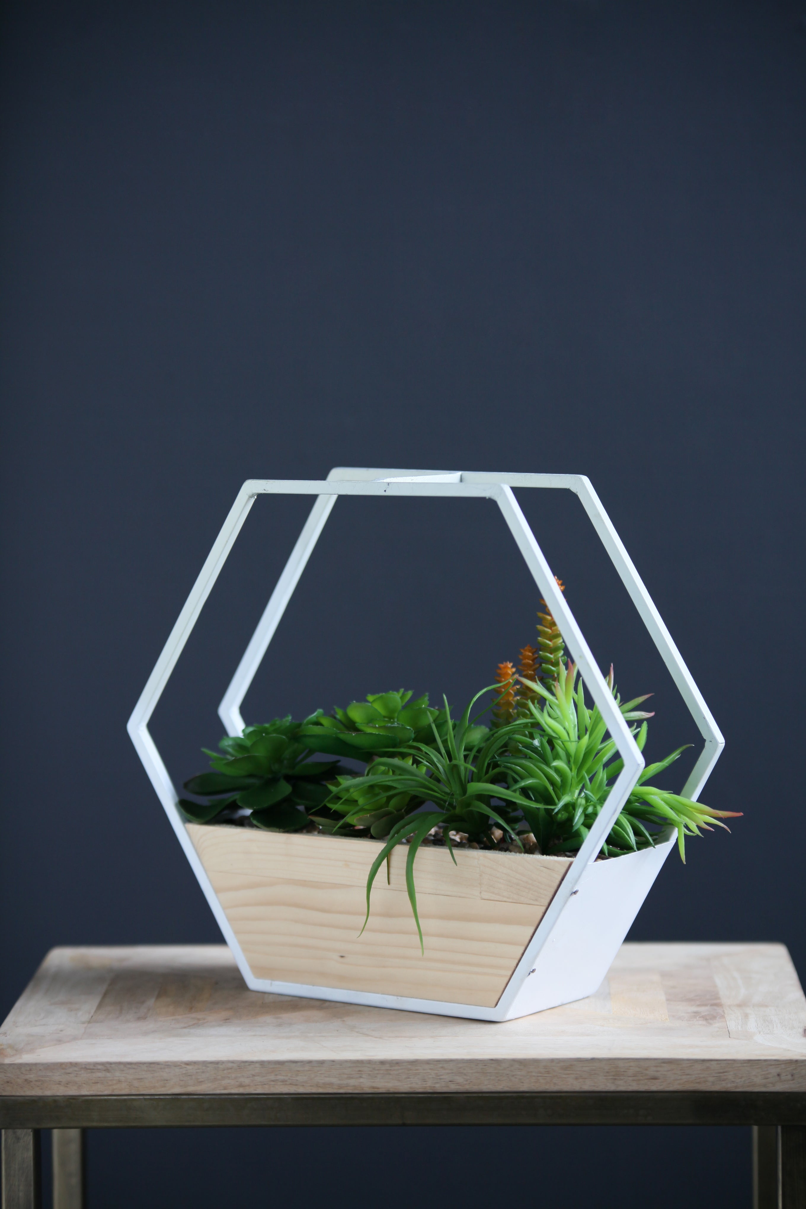 White Succulent Hexagon