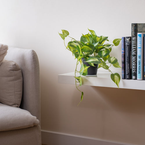 40Cm Real Touch Trailing Silver Vine