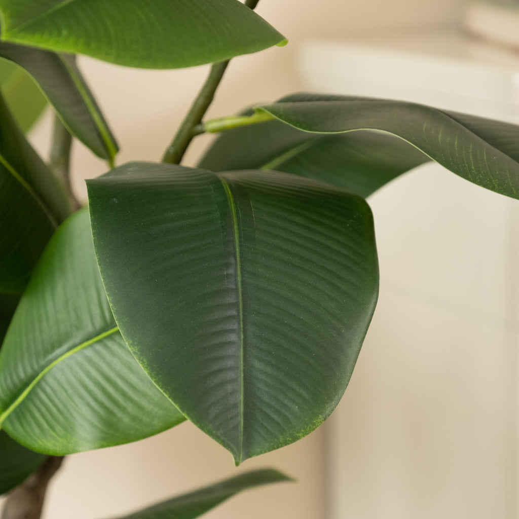 150Cm Real Touch Rubber Tree