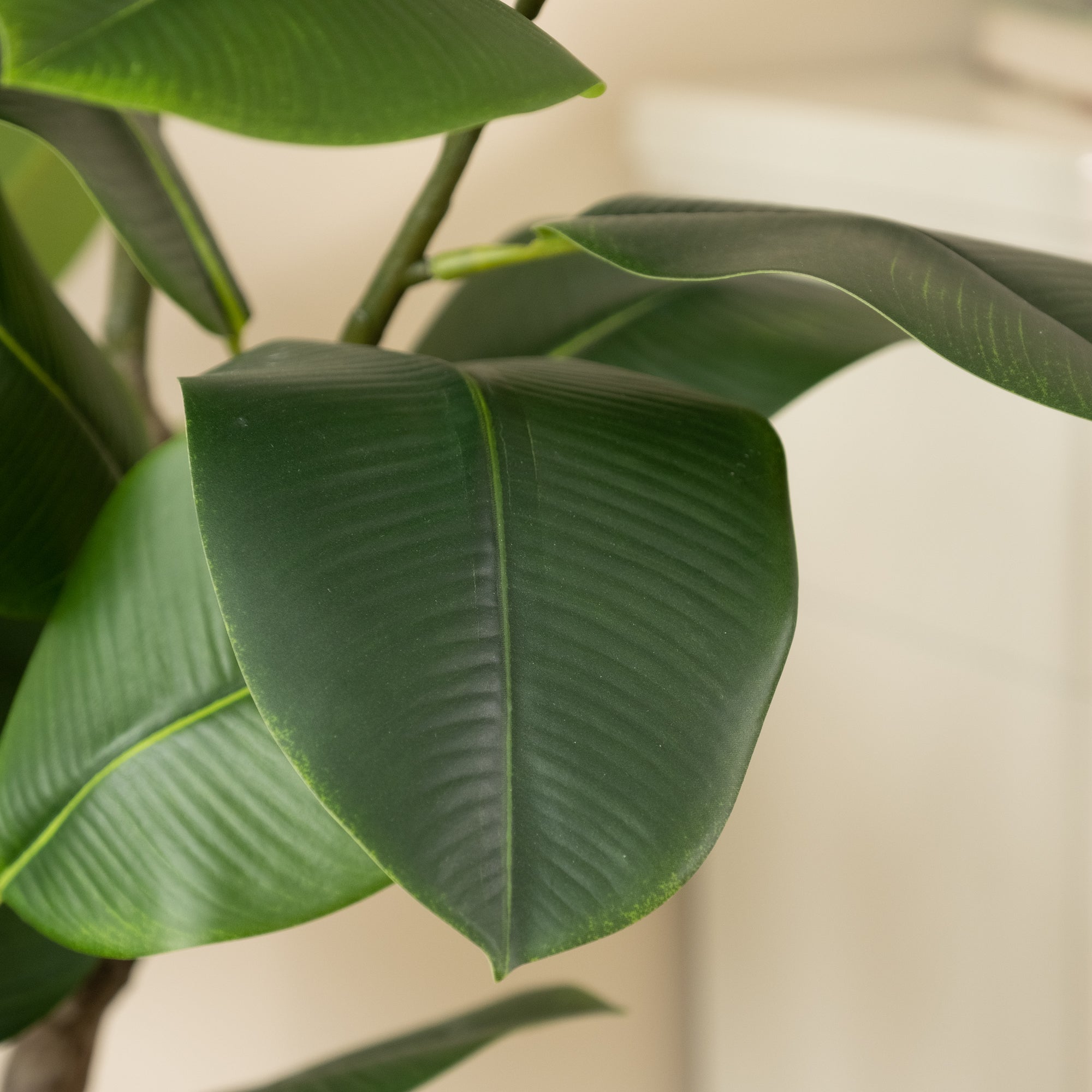150Cm Real Touch Rubber Tree