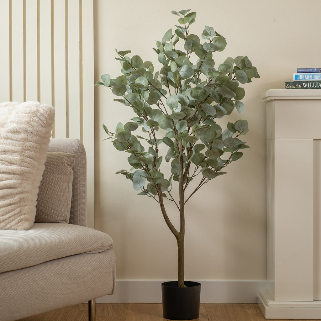 120Cm Eucalyptus Tree