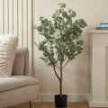 120Cm Eucalyptus Tree