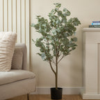 120Cm Eucalyptus Tree