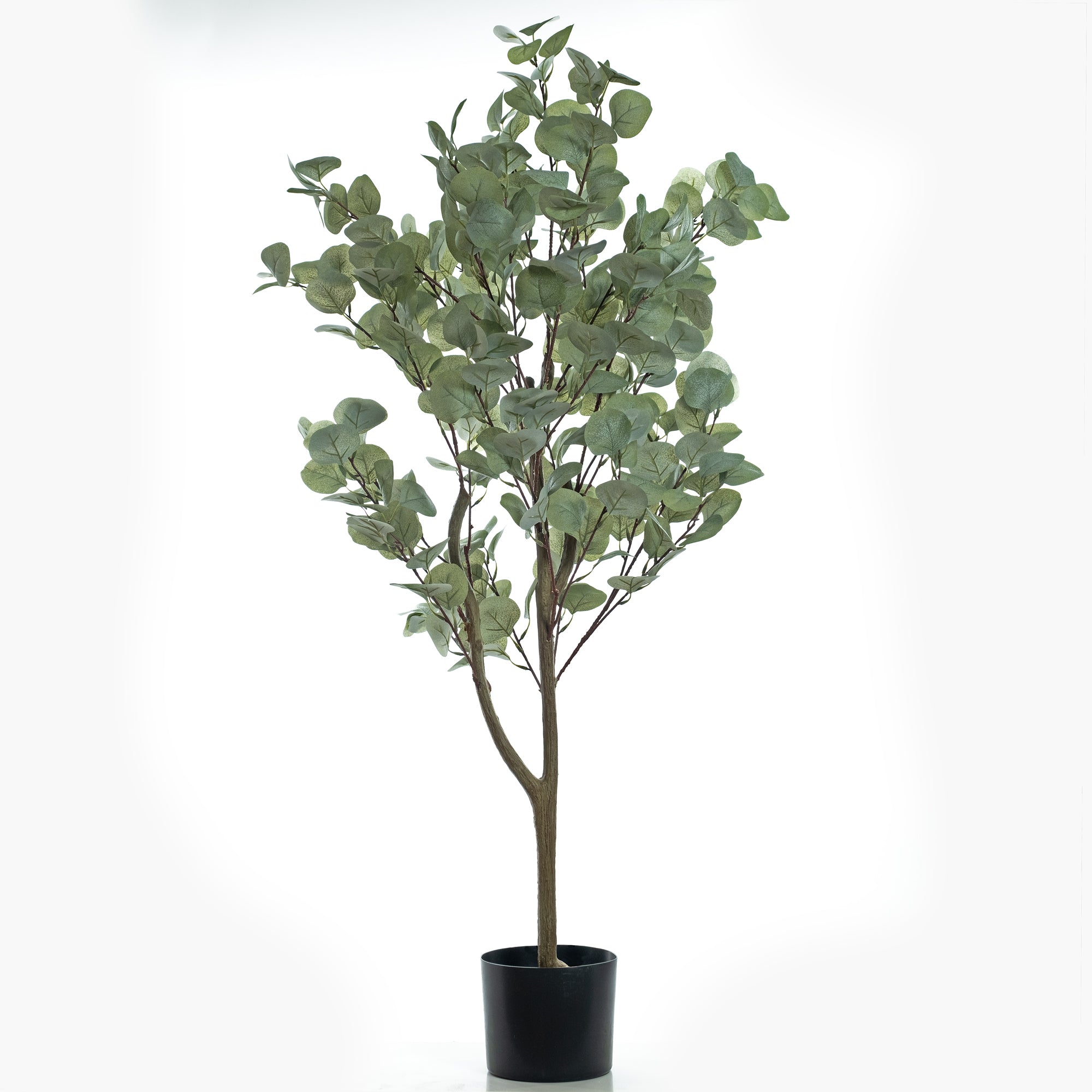 120Cm Eucalyptus Tree