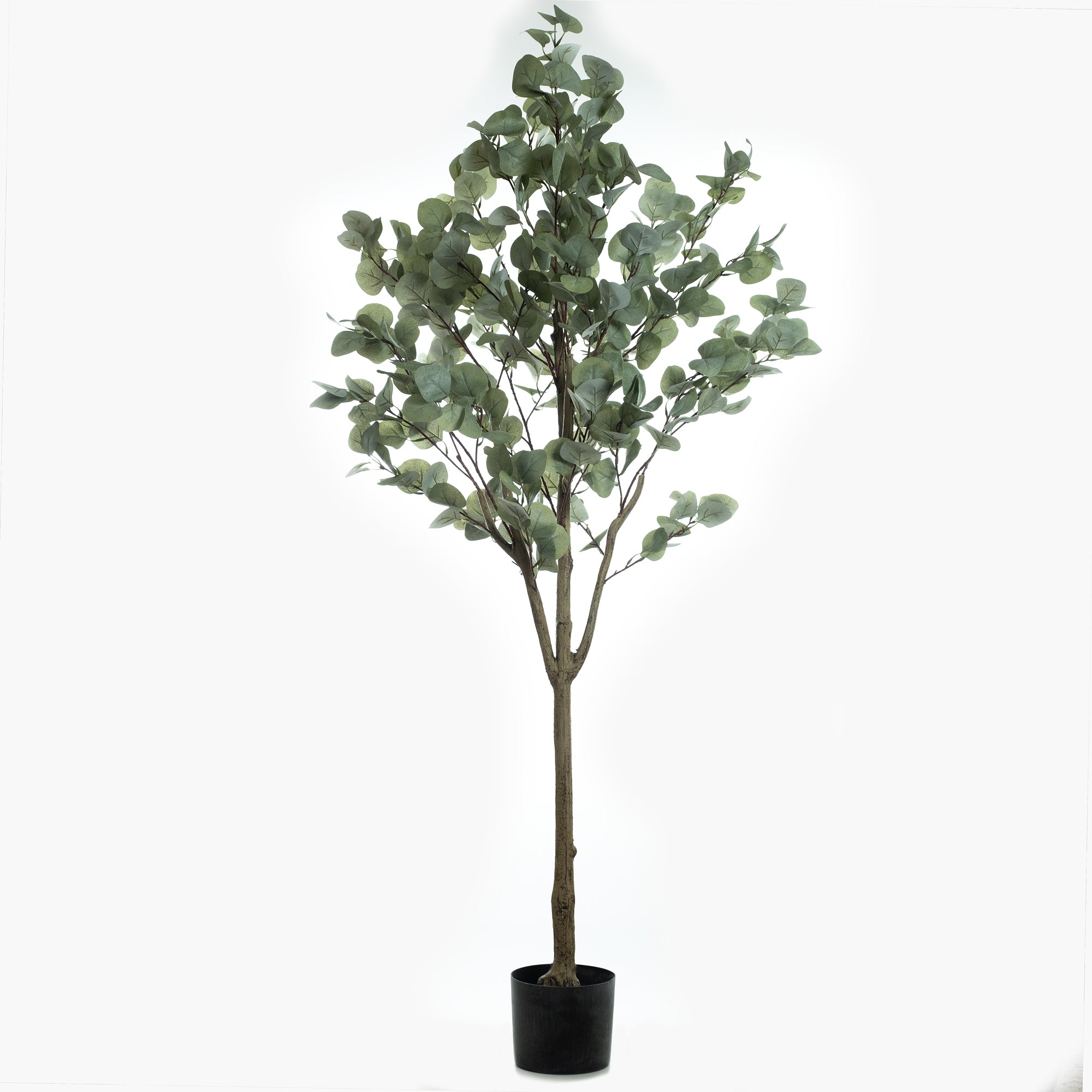 150cm Eucalyptus Tree