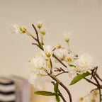 125Cm Cherry Blossom Tree White