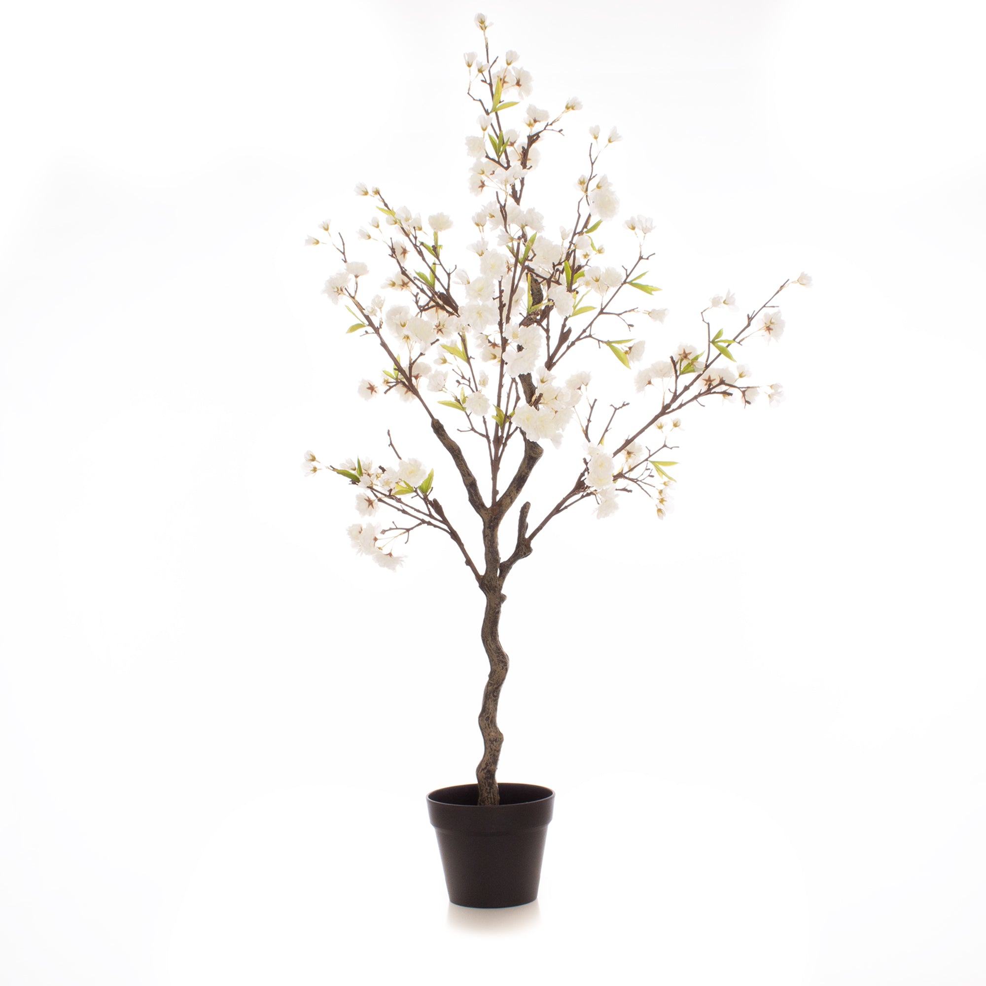 125Cm Cherry Blossom Tree White