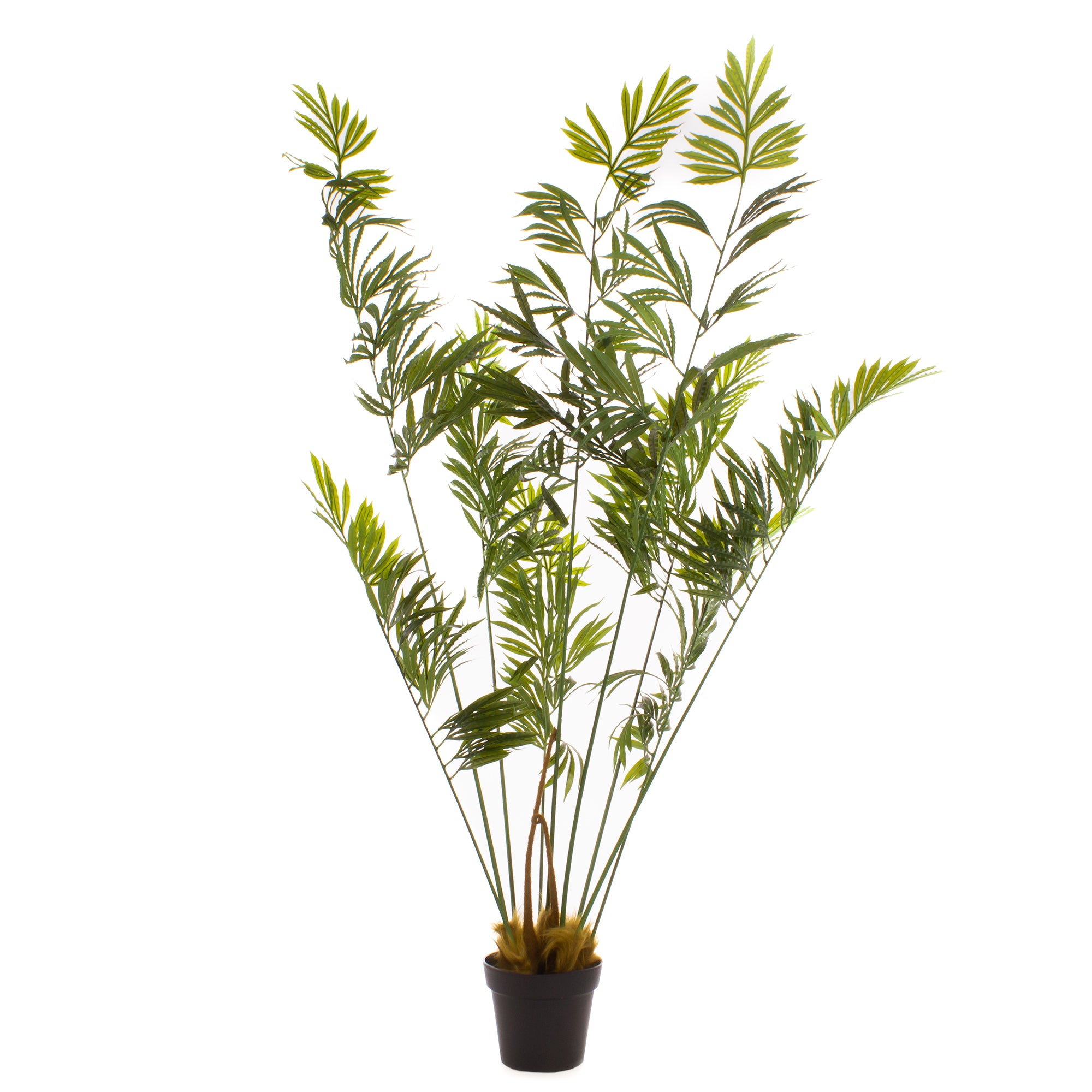 160Cm Real Touch Cycad Palm