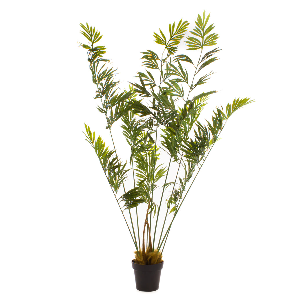 180Cm Real Touch Cycad Palm