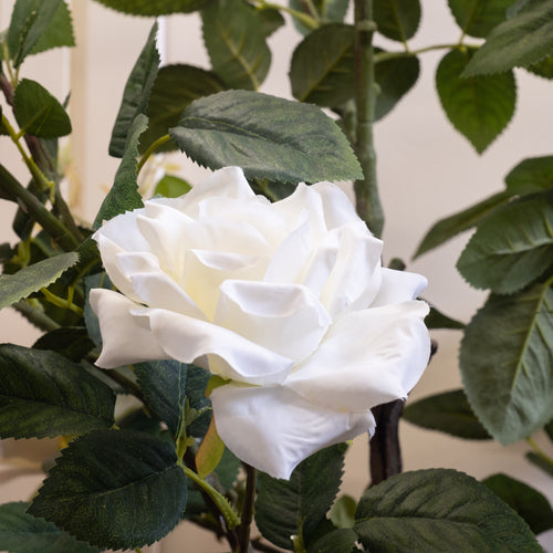 126cm Rose Tree