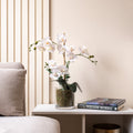 63Cm Real Touch 3-Stem Orchid With Euc In Glass Pot