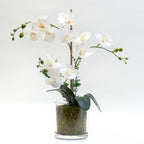 63Cm Real Touch 3-Stem Orchid With Euc In Glass Pot