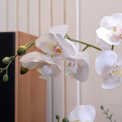 63Cm Real Touch 3-Stem Orchid With Euc In Glass Pot