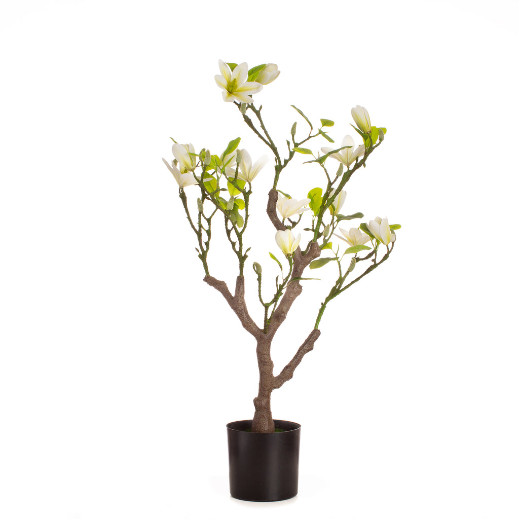 70cm Tabletop Real Touch Magnolia Tree Cream