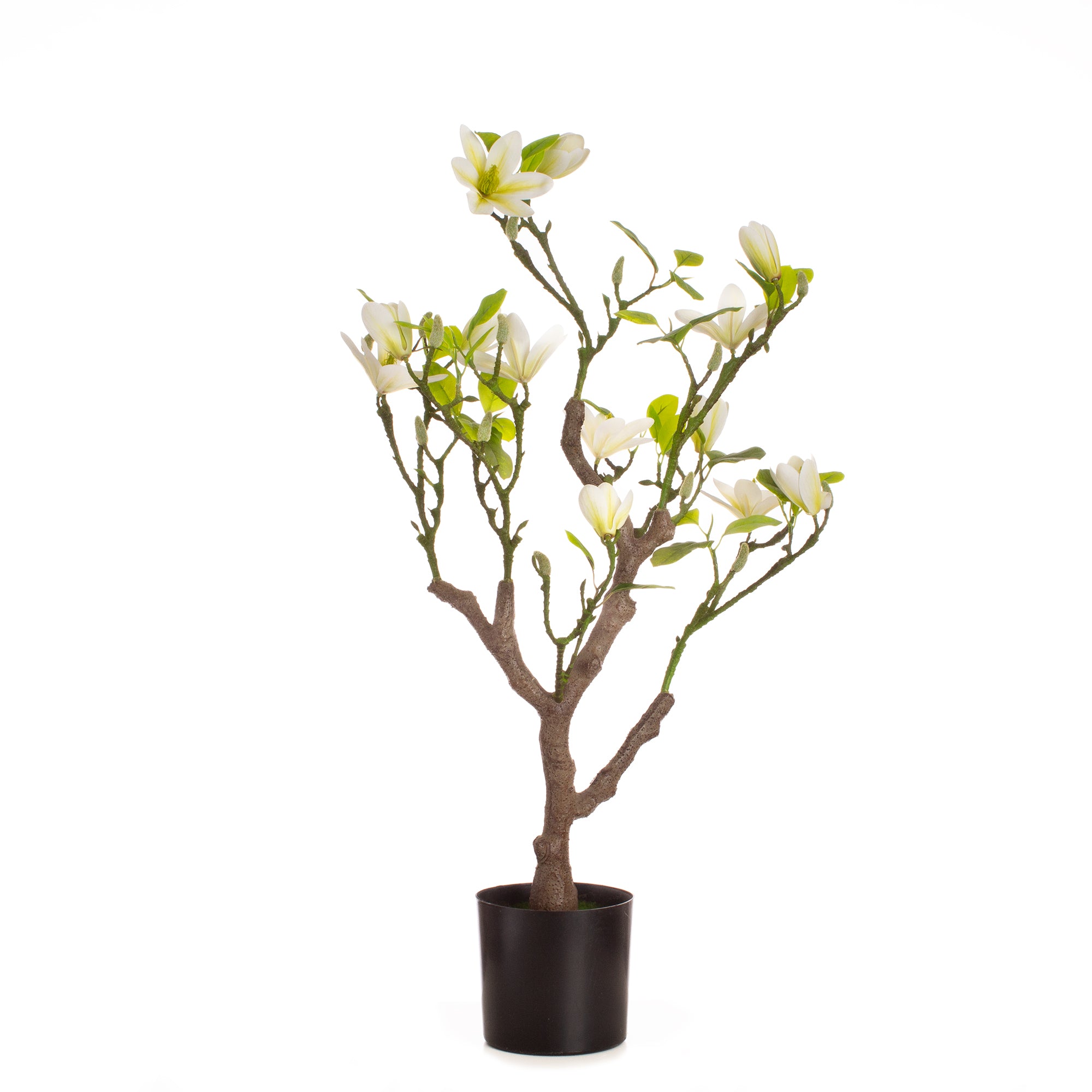 70cm Tabletop Real Touch Magnolia Tree Cream