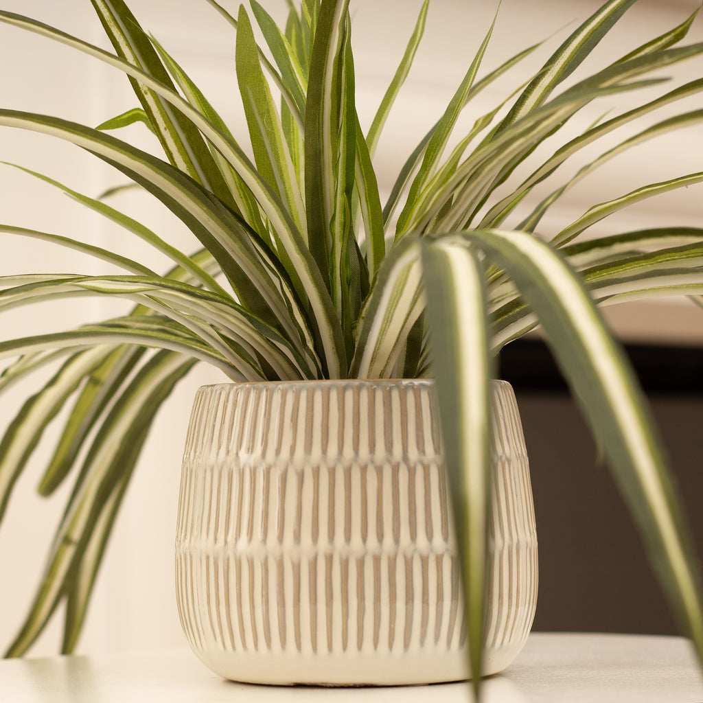 Set of 2 Plants in Beige Rustic Ribbed Ceramic Pots