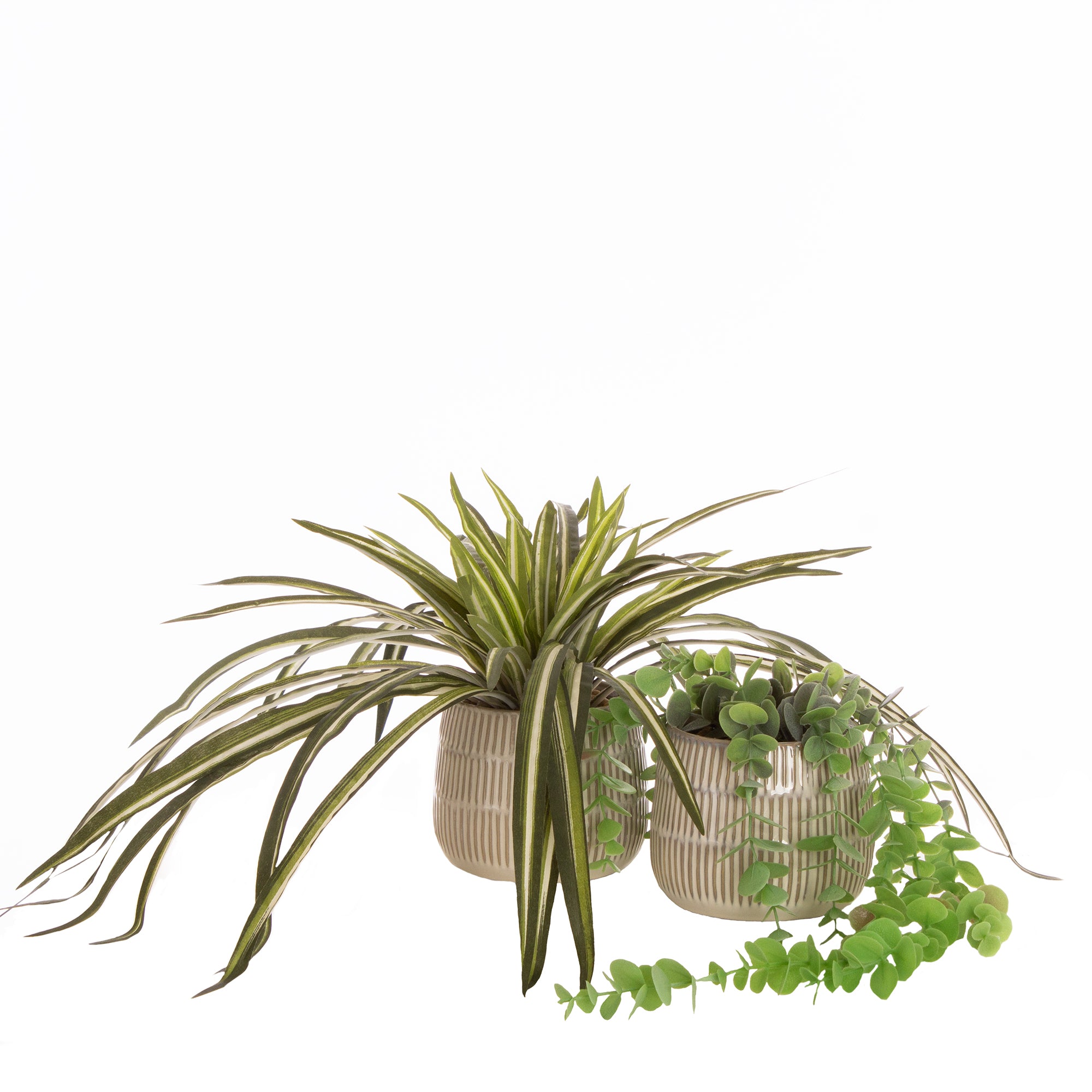 Set of 2 Plants in Beige Rustic Ribbed Ceramic Pots